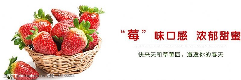 草莓轮播广告网站草莓广告图片
