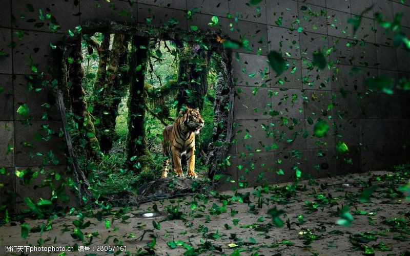 树叶图片免费下载动物老虎背景图片素材