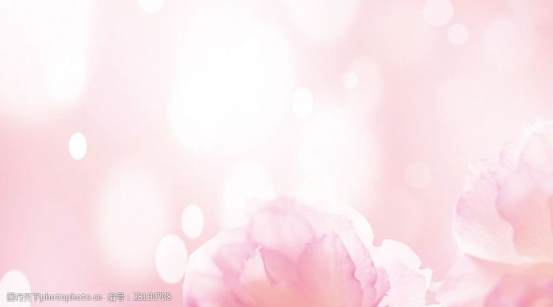 粉色系淡雅花朵背景