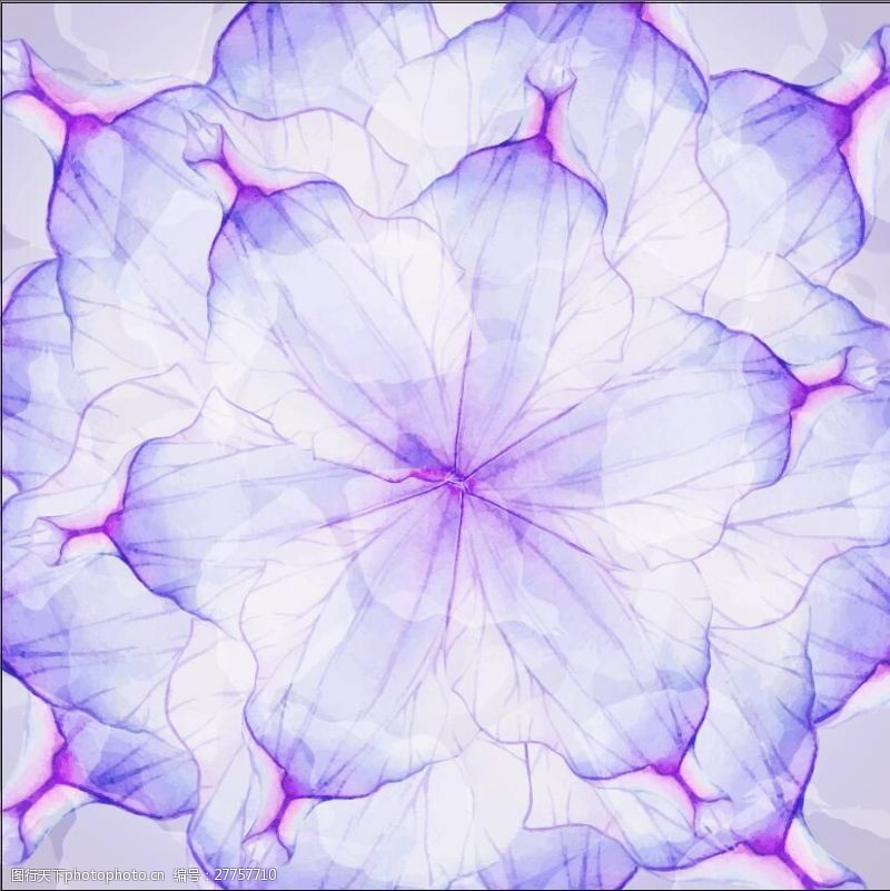 粉色梦幻炫彩花朵紫色对称花纹