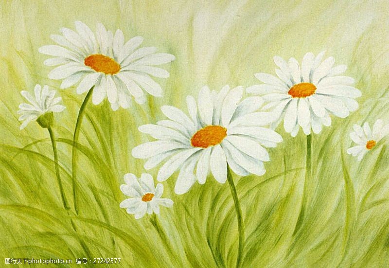 花背景油画图片免费下载 花背景油画素材 花背景油画模板 图行天下素材网