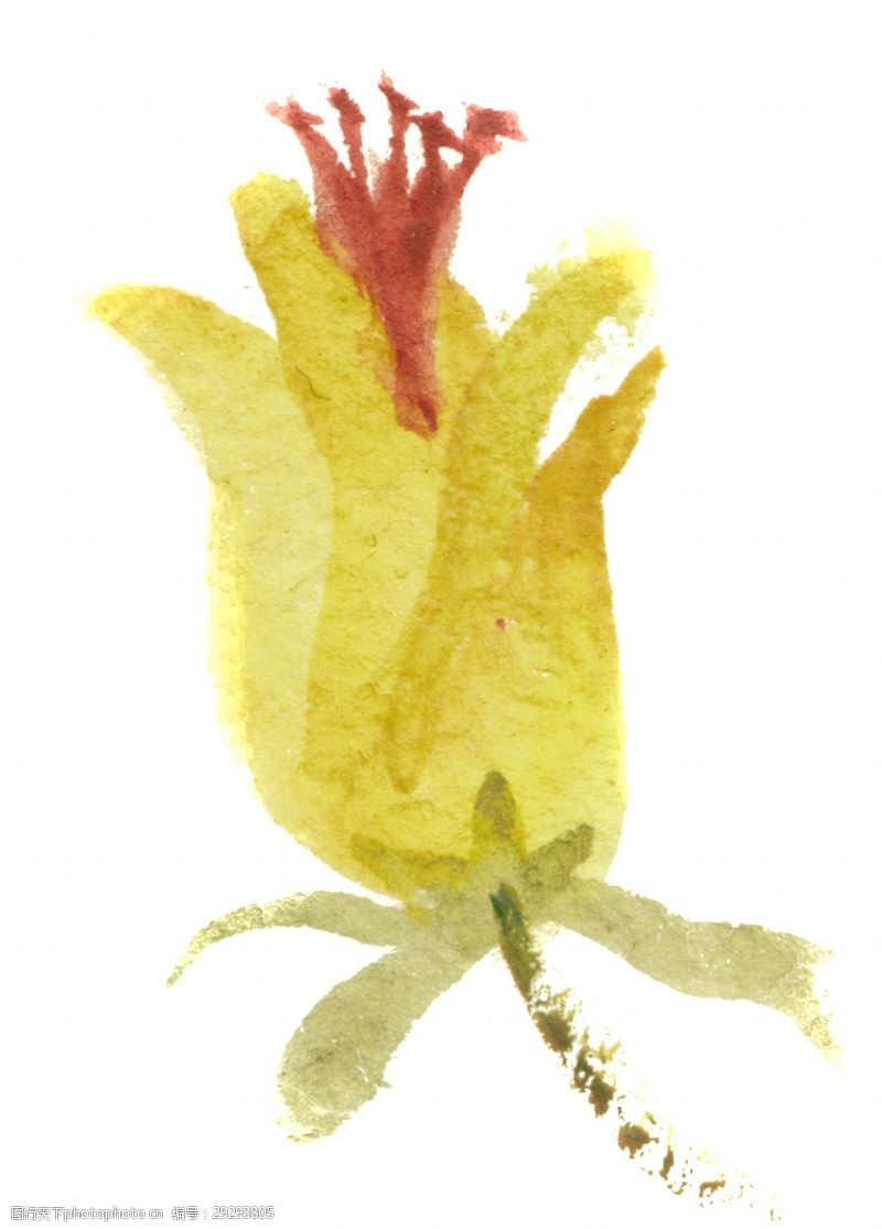 黄色花蕊水分花蕊透明装饰素材
