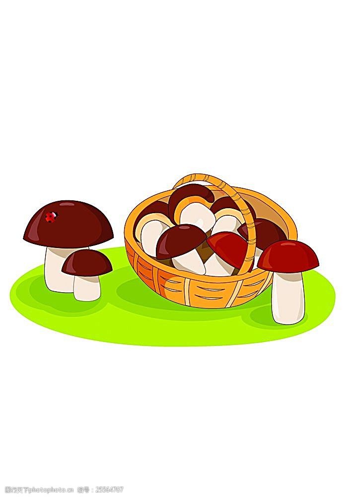 菜篮子篮子里的蘑菇
