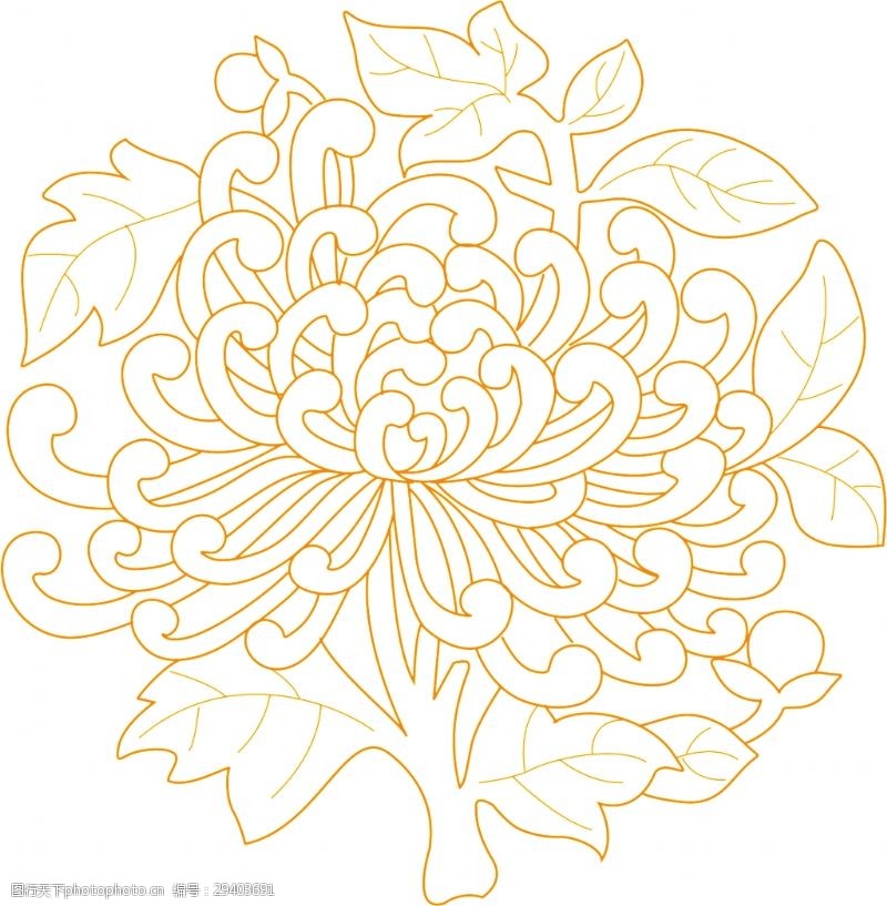 手稿简约橙色线稿手绘菊花装饰元素