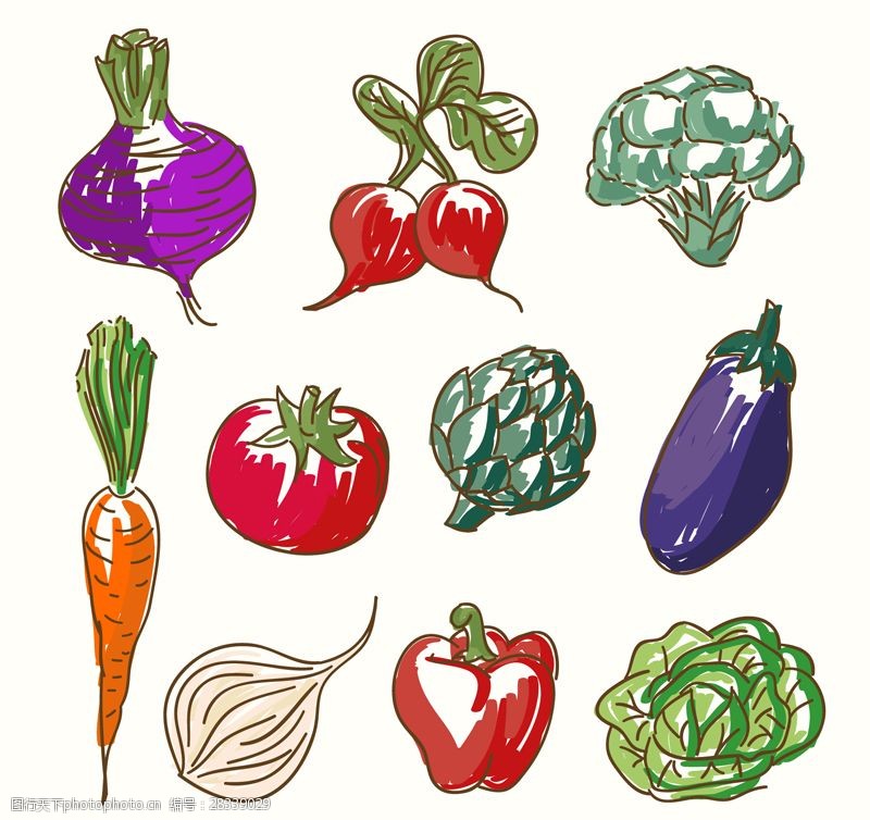 柿子彩绘蔬菜