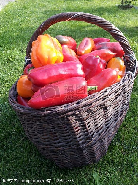 红红的辣椒放在草地篮子里的蔬菜