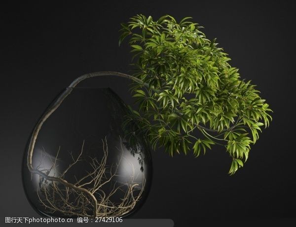 花草3d模型下载绿色盆栽模型效果