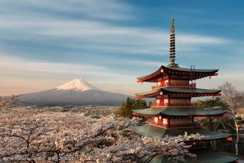 日本樱花富士山宫殿背景大图