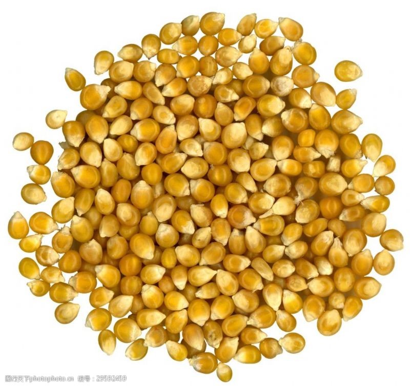 金黄玉米黄金玉米粒png元素