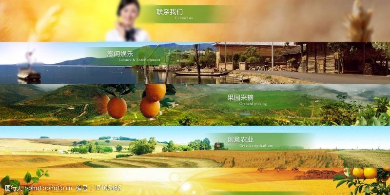 黄金鱼农业网站广告图banner图片