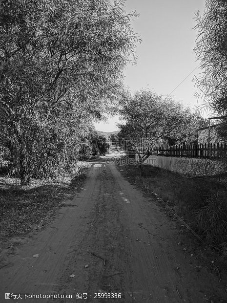 路径路跟踪场景观夏季黑色黑色白色黑色和白色