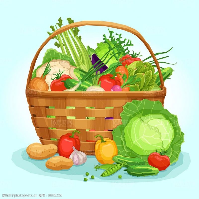 菜篮子蔬菜水果矢量素材海报
