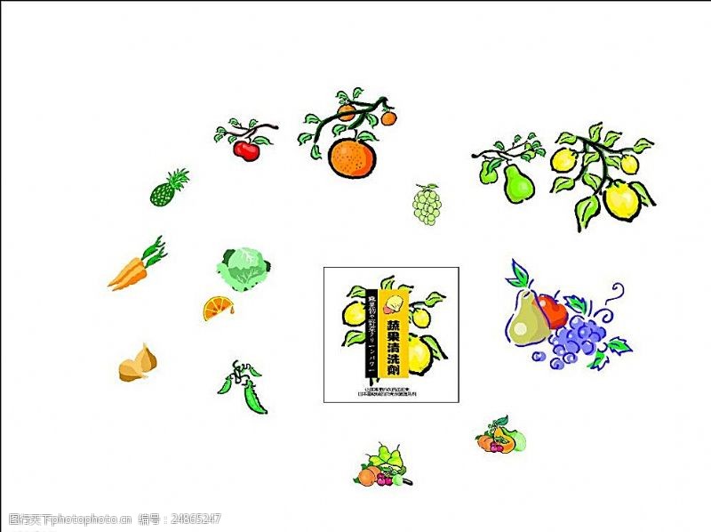 梨标签蔬果清洗剂元素贴纸图片
