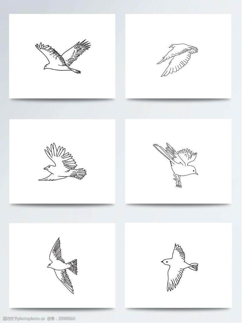 手稿湿地日卡通线条手绘飞鸟PNG元素