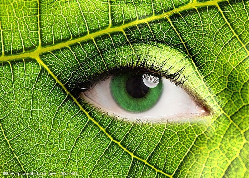 自然保护创意绿叶眼睛