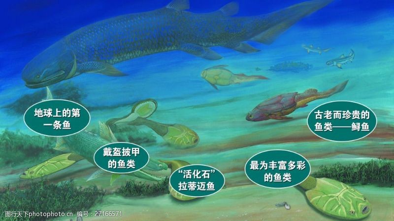 古代生物图片免费下载 古代生物素材 古代生物模板 图行天下素材网