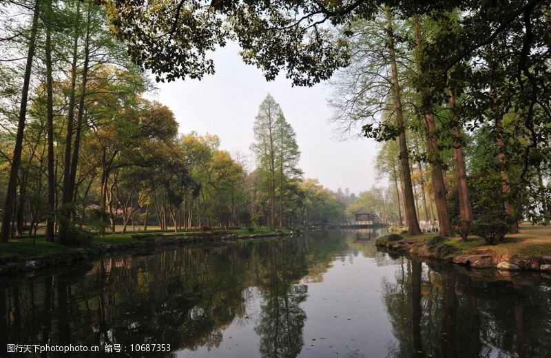 杭州西湖名胜湖光树色图片