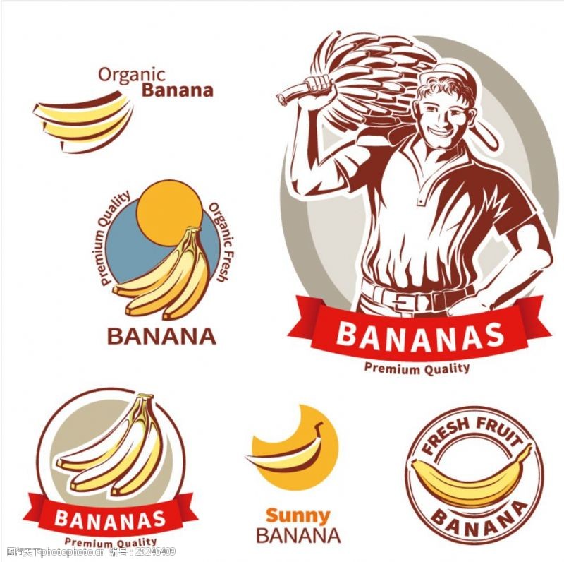 水果装饰画优质香蕉标签矢量素材