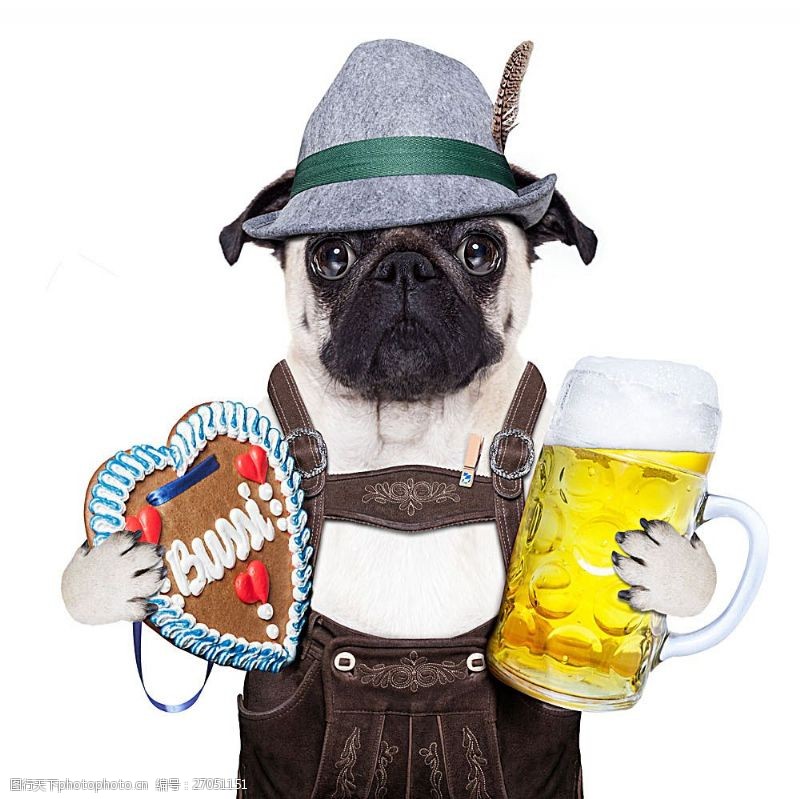 世界杯戴帽子抱着啤酒的小狗