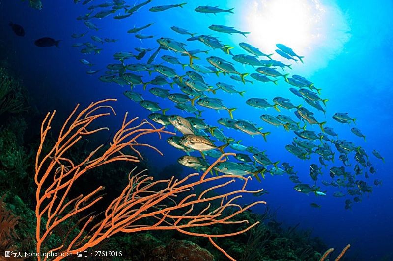 世界景色图片免费下载 世界景色素材 世界景色模板 图行天下素材网