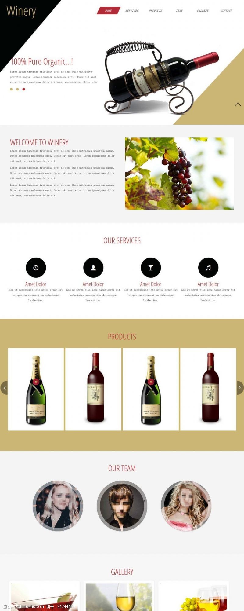 葡萄酒介绍葡萄酒品牌介绍响应式网页模板
