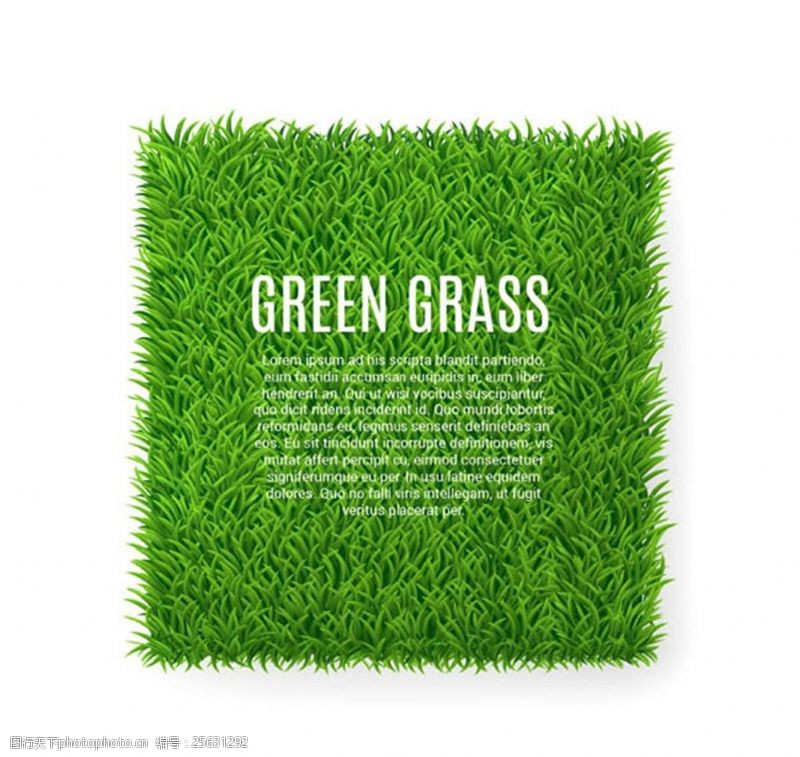 方形绿色草坪矢量