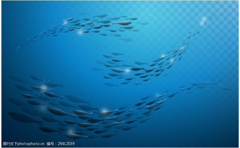 蓝色深海里的鱼群