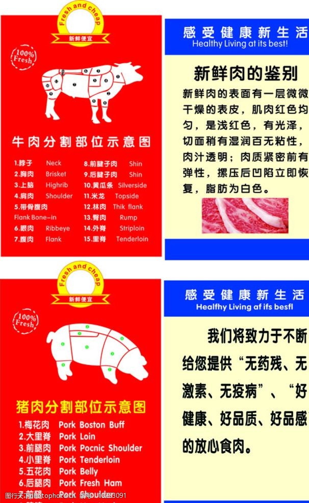 新鲜肉鉴别牛肉猪肉分割部位示意图图片