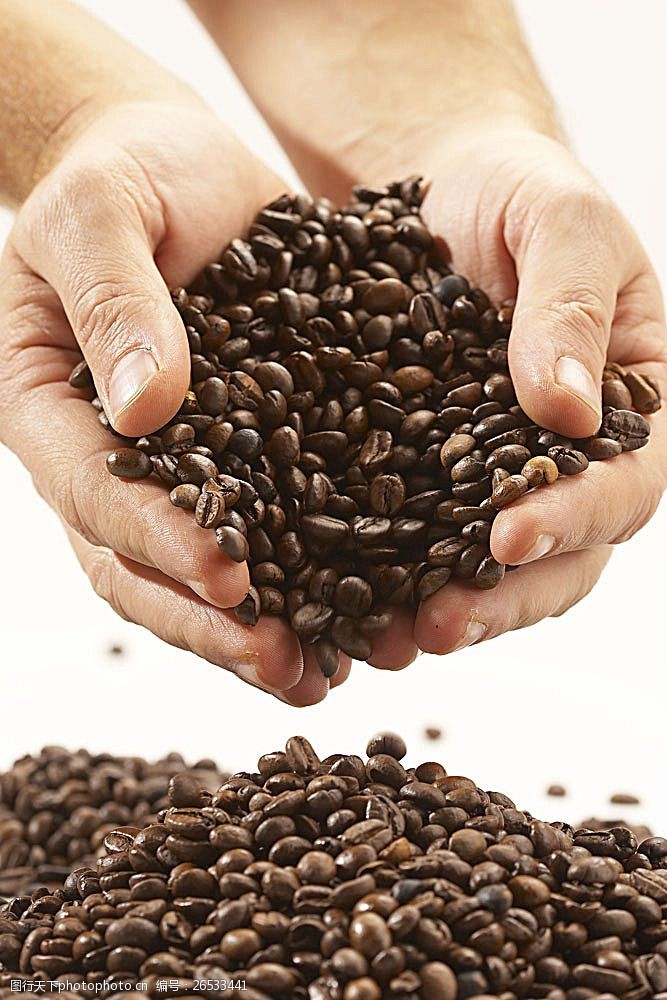 手捧水双手捧着的咖啡豆