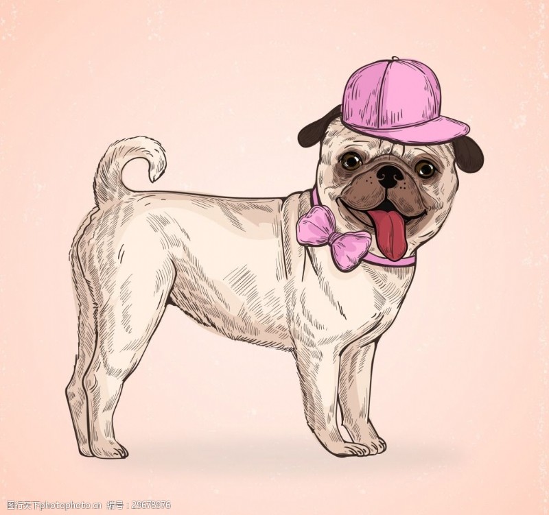 卡通宠物戴帽和领结的哈巴狗