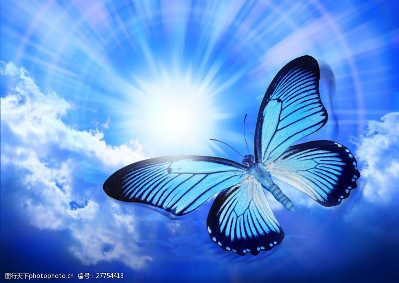 光与线美丽的蝴蝶与梦幻背景高清图片