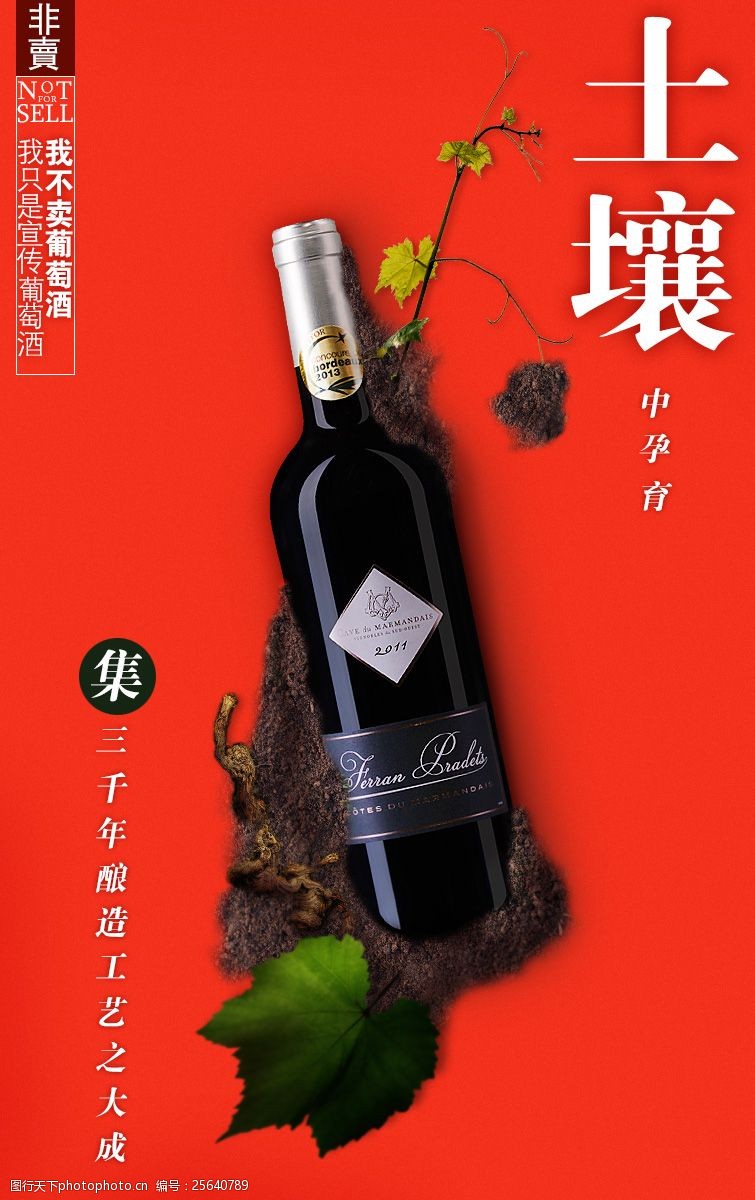 红葡萄酒葡萄酒文化海报