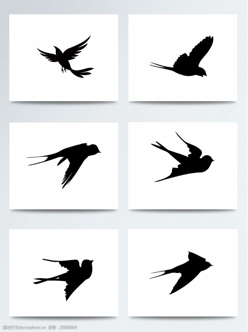 世界湿地日黑色剪影飞鸟PNG元素
