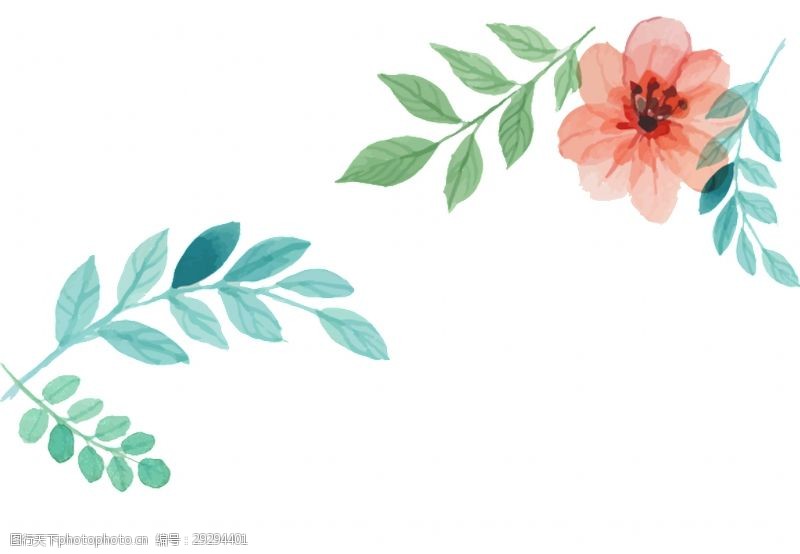 抠图专用卡片花卉装饰透明素材