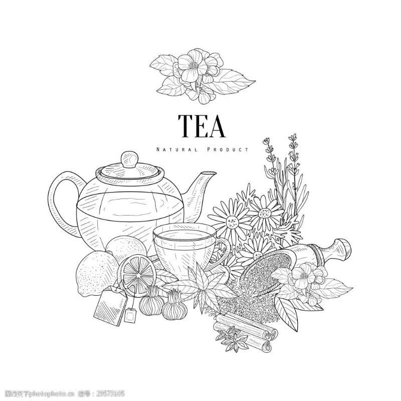 下午茶手绘线条花草茶插画