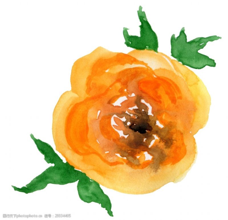 黄色花蕊橙黄花蕊透明装饰素材