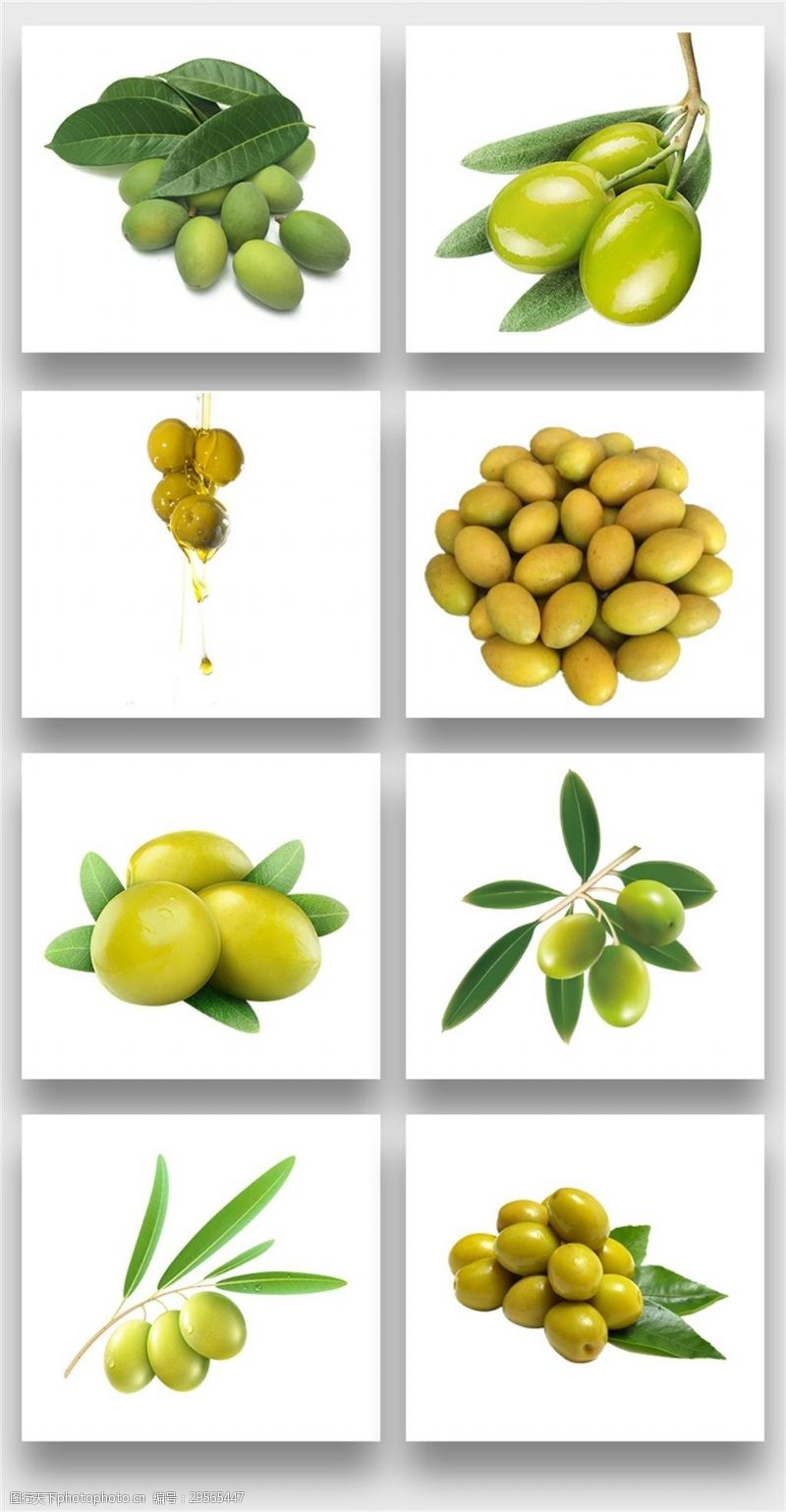 橄榄油PNG元素
