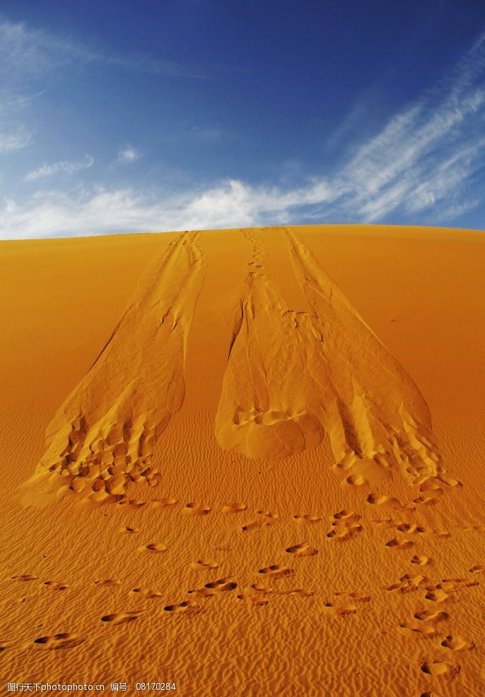齐达内沙漠图片
