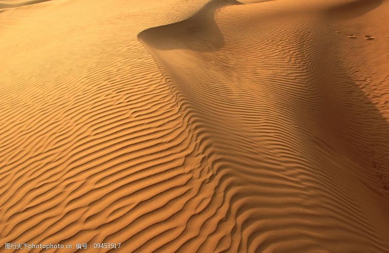 齐达内沙漠图片
