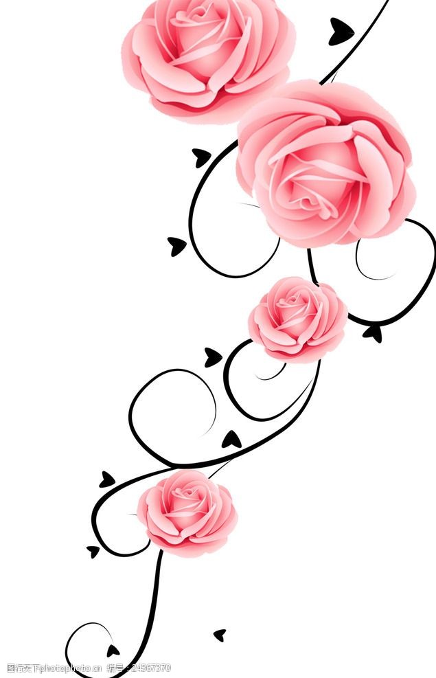 粉色玫瑰花背景黑花纹藤枝玫瑰花树枝