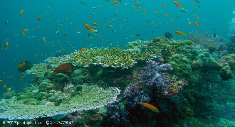 泰国普吉岛海底世界