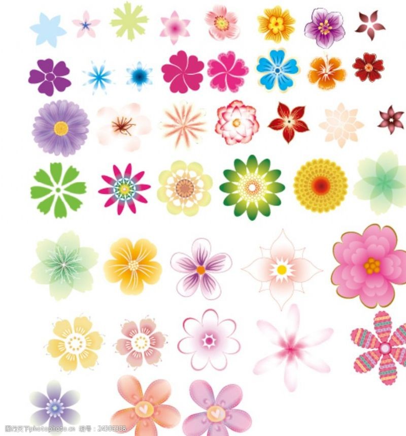 彩色的花各种各样的花瓣