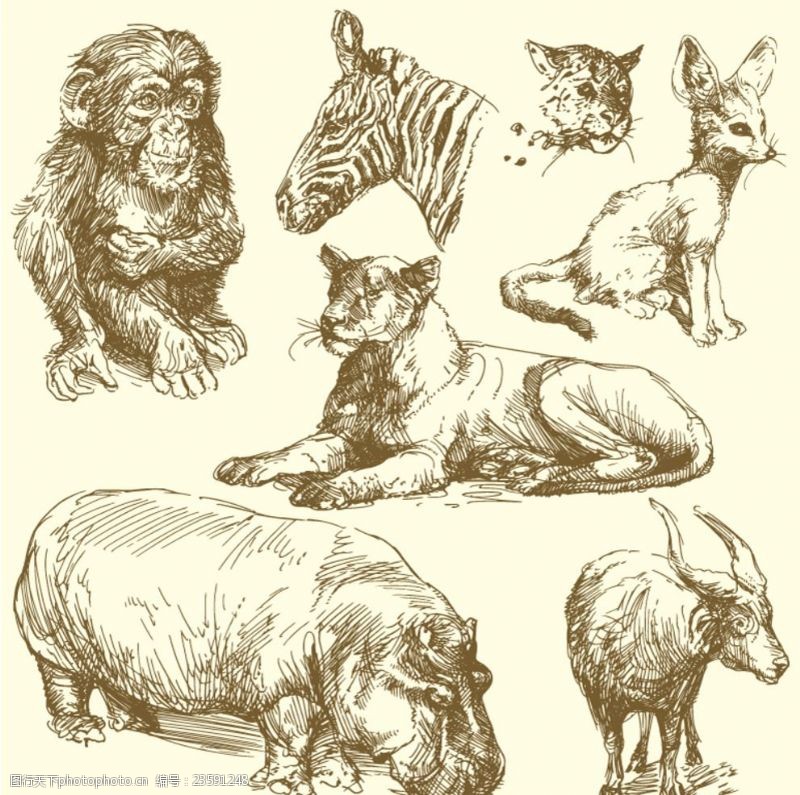 犀牛手绘野生动物矢量素材