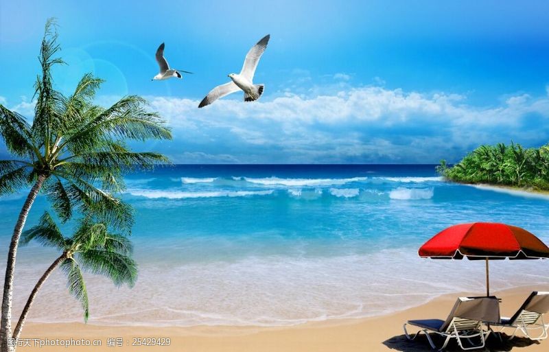 沙滩海岸线椰子树碧蓝天空